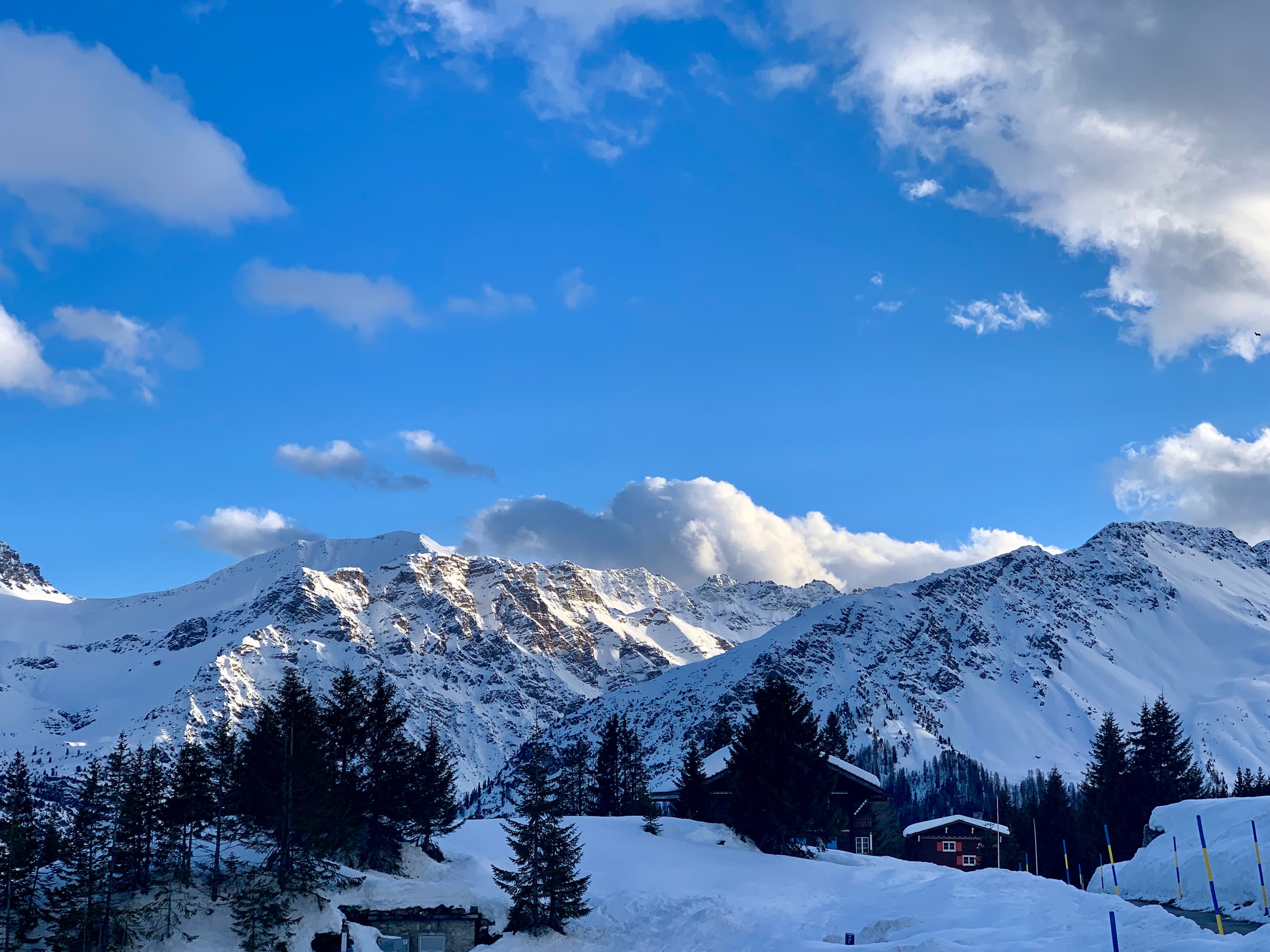 arosa
