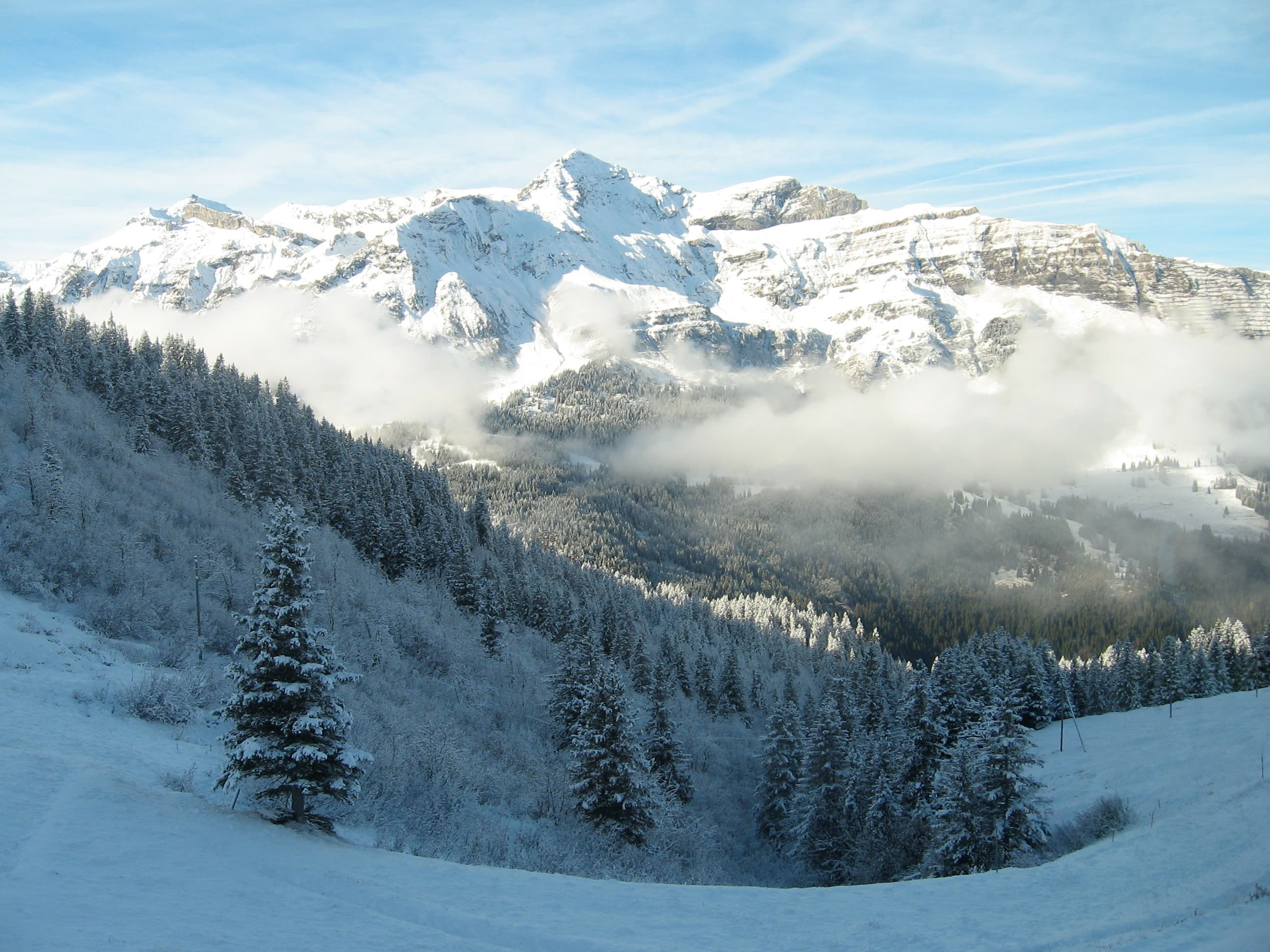 grindelwald